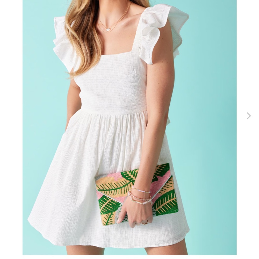 NWT Francesca’s Emma Ruffle Sleeve Bow Back Mini Dress